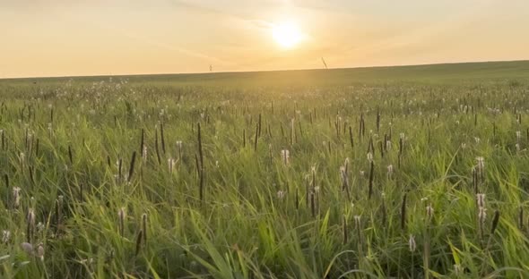 Hill Meadow Timelapse at the Summer or Autumn Time. Wild Endless Nature and Rural Field. Sun Rays