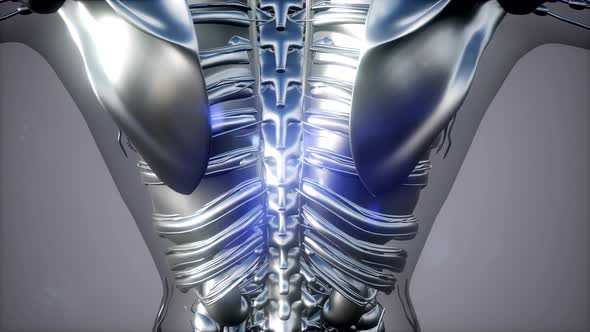 Anatomy Tomography Scan of Human Body alt