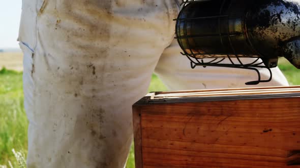 Beekeeper smoking the bee hive