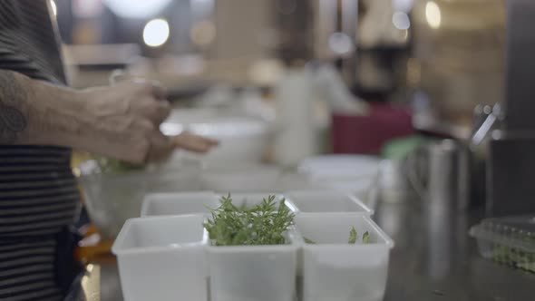 Chef Sorts Vegetables and Herbs in Plastic Containers Close Side View