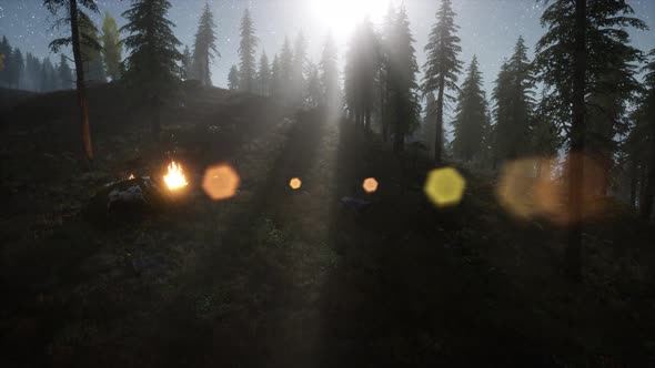 Campfire at Mountain Rorest at Night