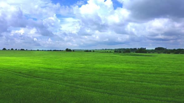 Flying Over A Wheat Field