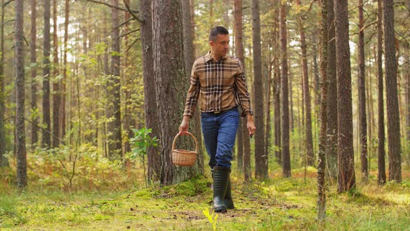 Happy Man with Basket Picking Mushrooms in Forest