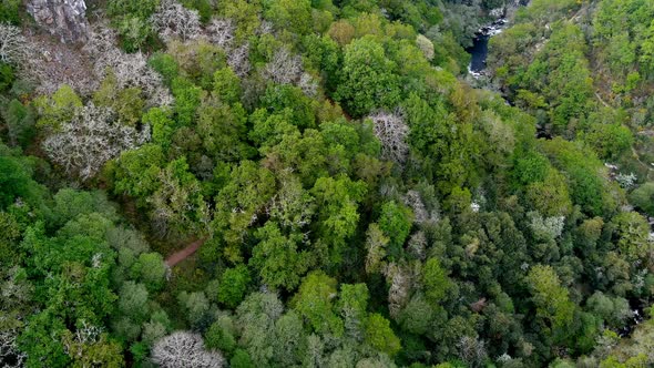 Aerial Flying Over Forest Tree Tops Near Fervenza do Toxa Waterfalls