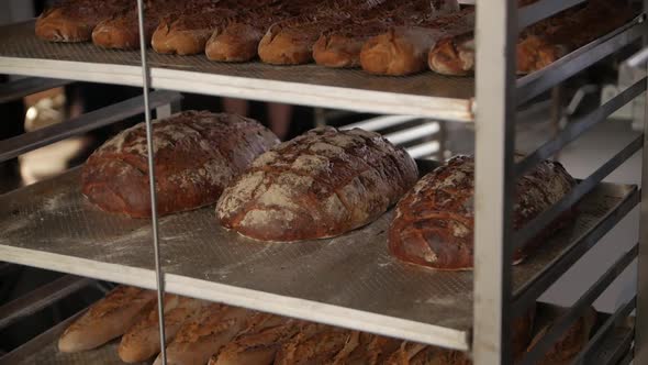 Dark Bread At The Bakery
