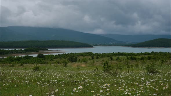 daisy flowers in a green field with lake and mountains