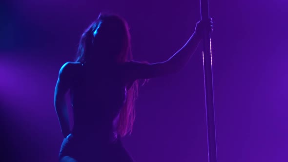 Young Sexy Slender Woman Dancing on a Pole Striptease with a Pylon in a Nightclub