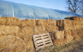 Hay bales used to insulate a pvc tunnel greenhouse. - PhotoDune Item for Sale
