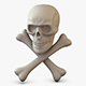 Pirate Skull Bones M 1 - 3DOcean Item for Sale