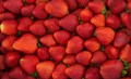 Background Of Fresh Organic Strawberries - PhotoDune Item for Sale