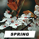 Spring Photoshop Actions - GraphicRiver Item for Sale