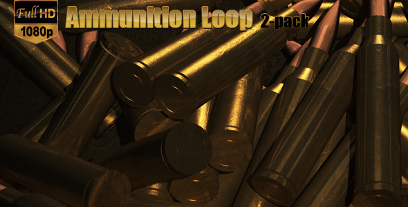 Ammunition Loop 2-Pack