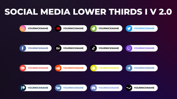 Social Media 2.0 | Premiere Pro