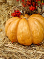 Pumpkin lying on stack of hay - PhotoDune Item for Sale