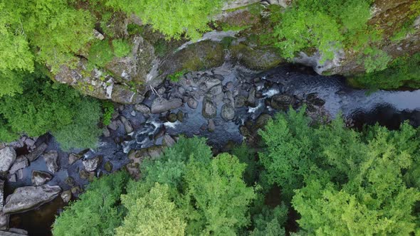 Aerial View of a Stream in the Forest in Rhodope Mountains Near the Town of Devin