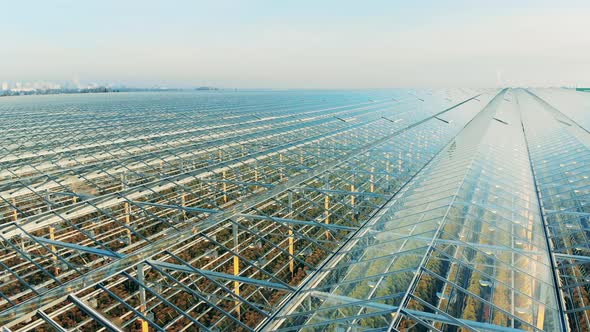 Greenhouse with Plants on a Field. Farming, Agricultural Industry, Agriculture Concept.