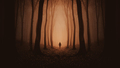 Man walking in surreal mysterious haunted forest with fog - PhotoDune Item for Sale
