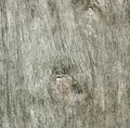 Old wood texture. Abstract background. - PhotoDune Item for Sale