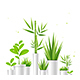 Realistic 3d Green House Plant Pot Set. Vector - GraphicRiver Item for Sale
