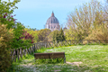 flowering meadow and a wooden bench - PhotoDune Item for Sale