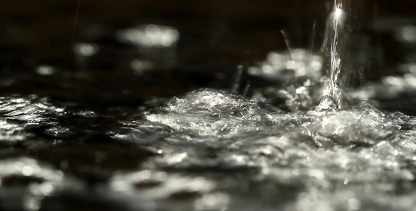 Water Dripping Back-Lighted 1 - Full HD