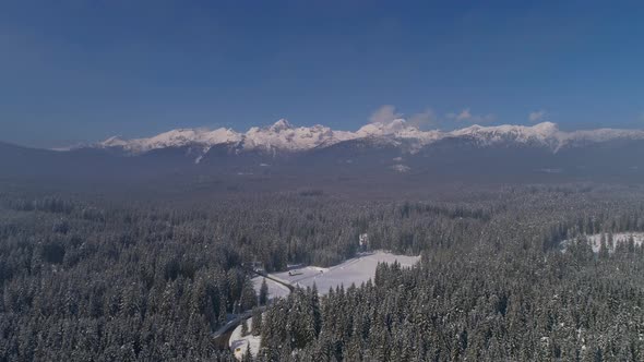 Forest covered with snow with the view of Alps in the distance during a sunny day