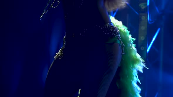 Sexy Beautiful Women in Colorful Carnival Costumes Dance in the Light of Blue Spotlights