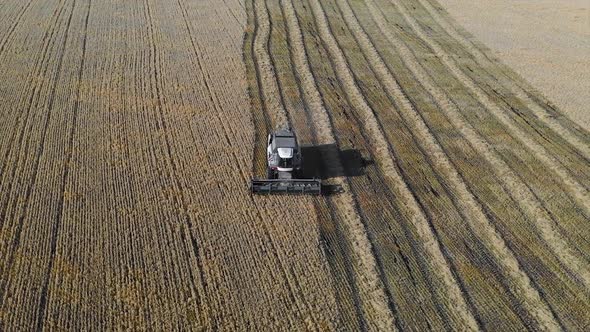 Aerial Shot. Combine Harvester Working on the Field. During the Day