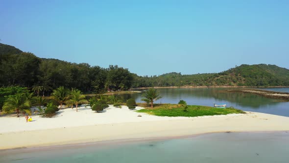 Aerial drone landscape of idyllic lagoon beach wildlife by blue lagoon and white sandy background of