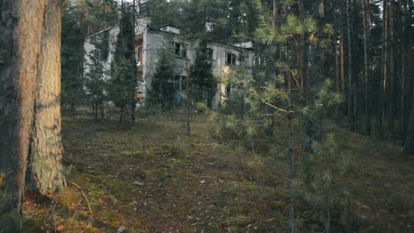 Walking Through a Pine Forest to an Abandoned Twostory Building