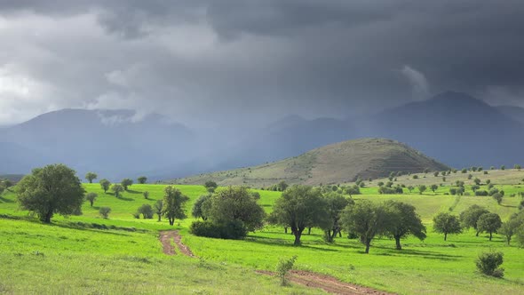 Green Fields With Trees and Cloudy Mountains in Moorland
