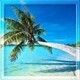 Tropical Sunny Island - AudioJungle Item for Sale