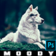 Moody Green Cinematic Photoshop Actions - GraphicRiver Item for Sale