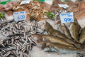 Sardines, cod fish and seafood for sale - PhotoDune Item for Sale