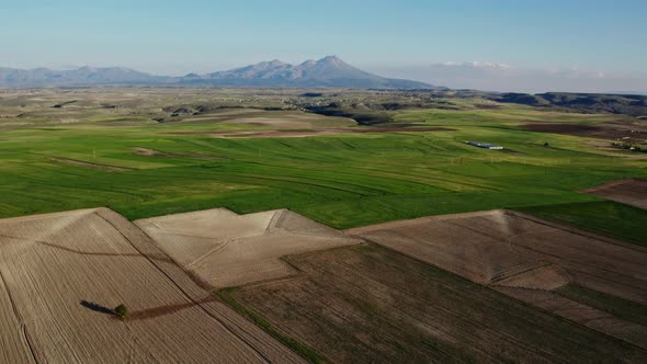 Over the Fields