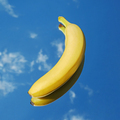 Banana fruit tropical yellow on blue sky and clouds background. - PhotoDune Item for Sale