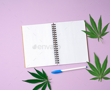 Open notebook with blank white pages and green leaves of hemp