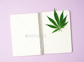 Open notebook with blank white pages and green leaves of hemp