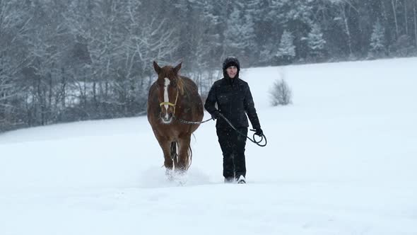 Woman Walking With Horse in Winter Slow Motion