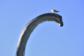 Seagull on head of a reconstruction of Brontosaurus  in outdoor exhibition - PhotoDune Item for Sale