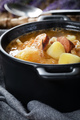 Traditional russian sour cabbage soup - PhotoDune Item for Sale