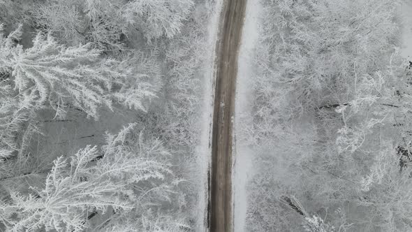 Country Road Through Snowy Forest Landscape In Poland During Winter Season. aerial drone, top-down s