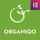 Organiqo - An Organic Store WordPress Theme - ThemeForest Item for Sale