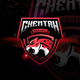 Cheetah Esport Logo Gaming - GraphicRiver Item for Sale