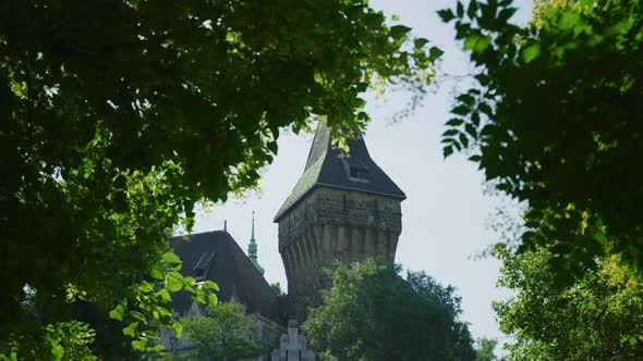 Vajdahunyad Castle seen behind green branches