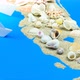 Paper Boat Floats off the Coast of Florida - VideoHive Item for Sale