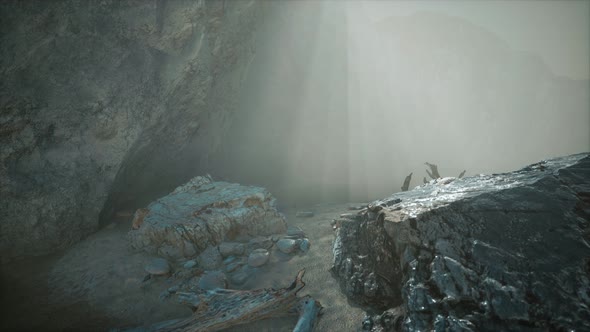 Rocky Cliff with Sand Beach in Deep Fog