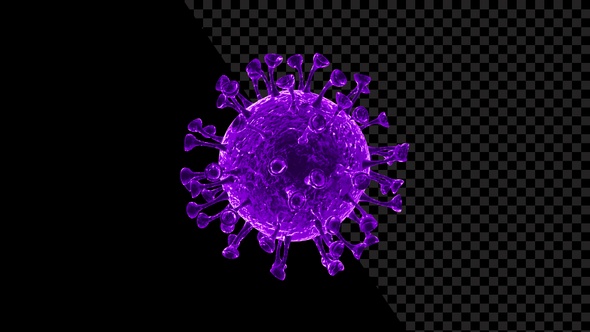 Visualization Of Coronavirus Covid-19 V8