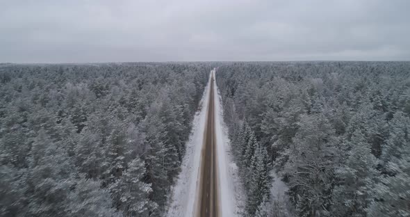 Winter Road in the Forest