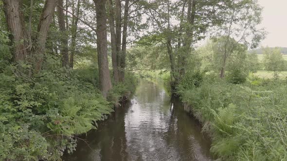 Flight over the river towards the forest